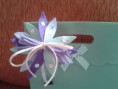 Modelo "Loreto"
